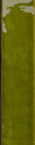 Olive 4x31